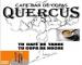 Quercus